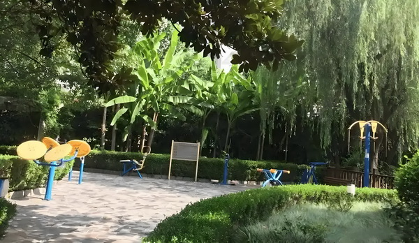 应届毕业生自行办理深户流程_央视发文力挺，这一次杨幂让前夫刘恺威望尘莫及 这一次我给然后你分成